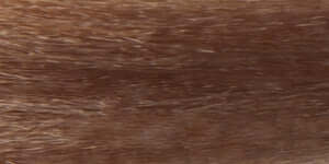 Aloxxi Chroma color 8NA Mona Lisa’s Smile